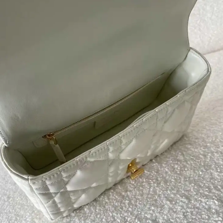 Bag Dio 2201YA0023 0501